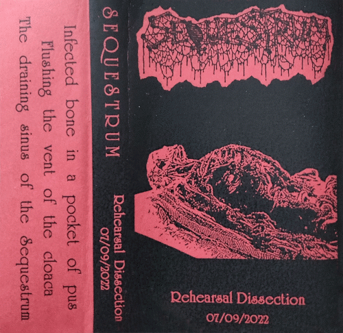 Sequestrum : Rehearsal Dissection 07-09-2022 Sequestrum : Rehearsal Dissection 07-09-2022